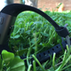 Imagen para el artículo titulado Fitbit Surge, análisis: un smartwatch que ni es smart ni es reloj
